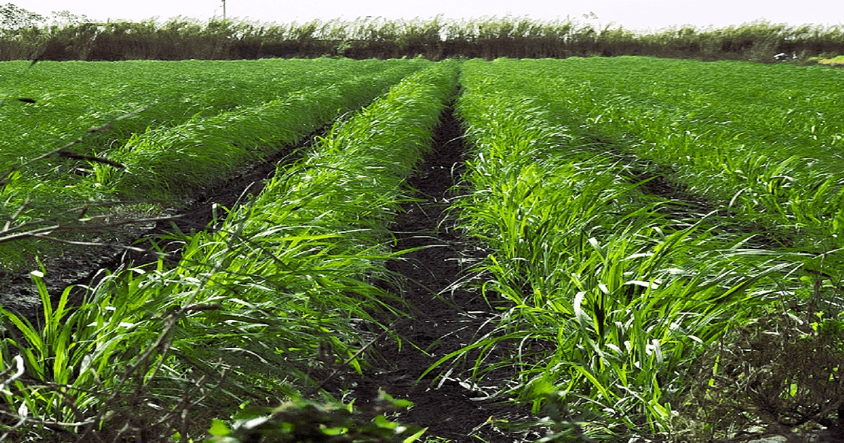 Professional home inspector examining a Moore Haven Florida waterfront property along the Caloosahatchee River for wind mitigation and structural issues